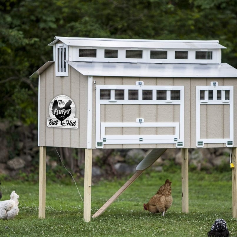 Chicken Garden