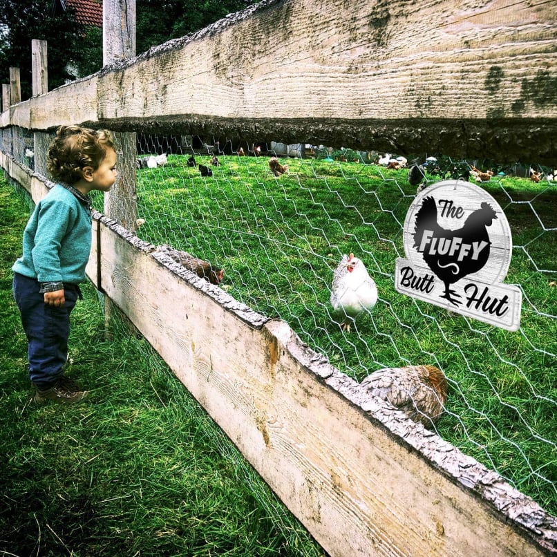 Chicken Garden